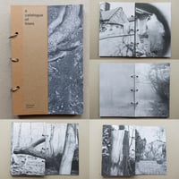 a catalogue of trees