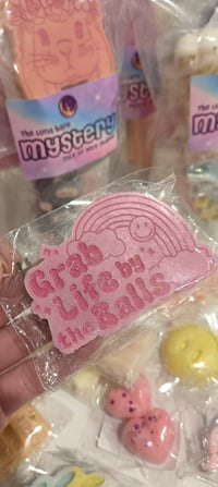 Image 4 of Grab life by the balls 