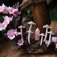 Image 5 of Blossom Glowing Fungi moon wreath