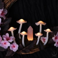 Image 2 of Blossom Glowing Fungi moon wreath