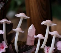 Image 6 of Blossom Glowing Fungi moon wreath