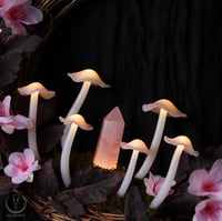 Image 3 of Blossom Glowing Fungi moon wreath