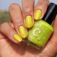 Image 6 of Bee-lieve in Spring