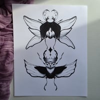 Image 1 of beetles print