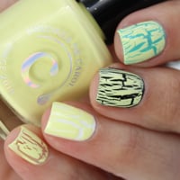 Image 13 of Eggstra Sunny