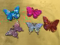 Image 1 of Butterfly Collection 