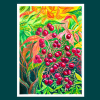 Image 1 of Where Grace Grows