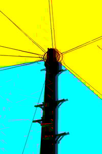 Image 2 of Pink Pole