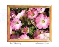 Image 1 of RnJ_Bloom UnFramed Print