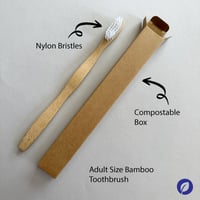 Adult Size Bamboo Toothbrush (nylon bristles) 