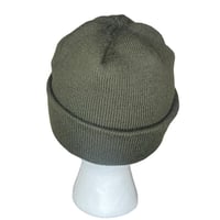 Image 4 of green skunk beanie
