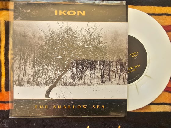 Image of THE SHALLOW SEA 7" SINGLE