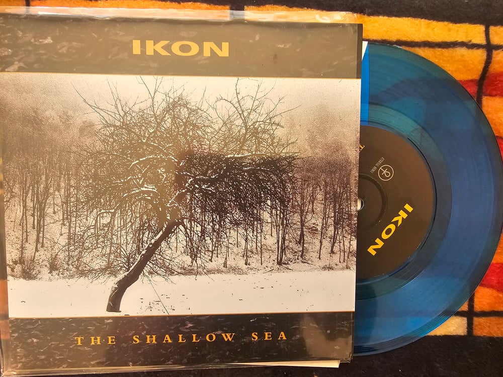 Image of THE SHALLOW SEA 7" SINGLE