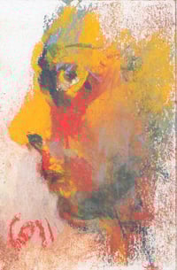 Image 2 of Dougal  - Soft Pastels  on Paper  