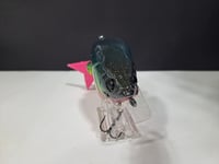 Image 7 of Legal Dope - Wraiths colorway # 89