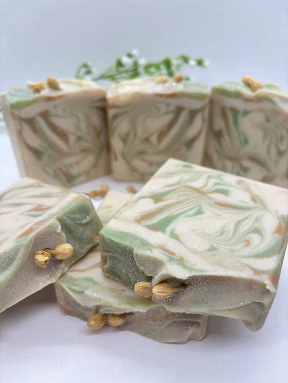 Image of White Jasmine