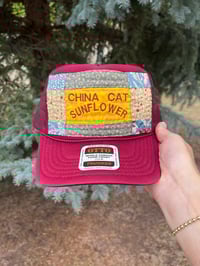 Image 1 of China Cat Sunflower