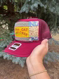 Image 2 of China Cat Sunflower