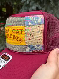 Image 4 of China Cat Sunflower