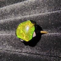 Image 1 of Terrestria