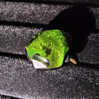 Image 3 of Terrestria