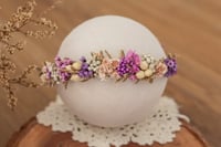 Newborn/Sitter Halo 327