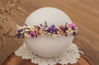 Newborn/Sitter Halo 328