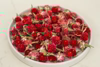 Image 2 of 20g Globe Amaranth Heads - Red