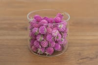 Image 3 of 20g Globe Amaranth Heads - Purple