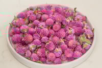 Image 2 of 20g Globe Amaranth Heads - Purple