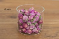Image 2 of 20g Globe Amaranth Heads - Purple with Ivory Center