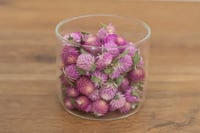 Image 3 of 20g Globe Amaranth Heads - Purple with Ivory Center