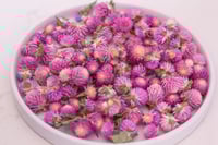 Image 1 of 20g Globe Amaranth Heads - Purple with Ivory Center