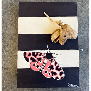 The Recess Gallery, Sloan Gingg "Mutualism #1"