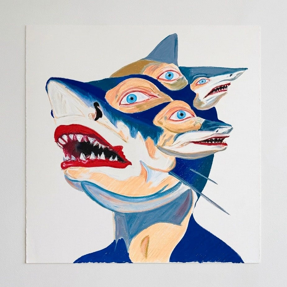 Image of Shark Attack