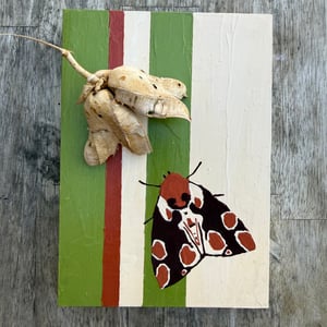 The Recess Gallery, Sloan Gingg "Mutualism #3"