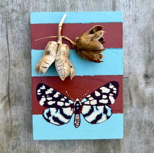 The Recess Gallery, Sloan Gingg "Mutualism #4"