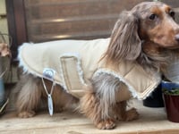 Image 2 of Caramel Raincoat Chest Cover Coat