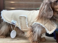 Image 3 of Caramel Raincoat Chest Cover Coat