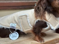 Image 4 of Caramel Raincoat Chest Cover Coat