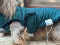 Image 1 of Pine Puffer Chest Cover Coat