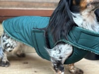 Image 2 of Pine Puffer Chest Cover Coat