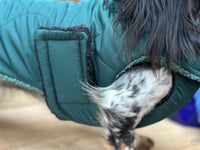 Image 3 of Pine Puffer Chest Cover Coat