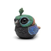 Image 2 of Chubby Bird: Himalayan Monal