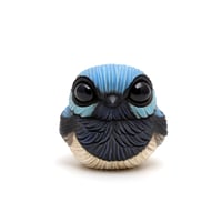 Image 3 of Chubby Bird: Superb Fairywren