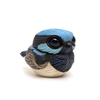 Image 4 of Chubby Bird: Superb Fairywren