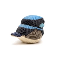 Image 5 of Chubby Bird: Superb Fairywren