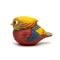 Image 1 of Chubby Bird: Golden Pheasant