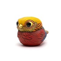 Image 2 of Chubby Bird: Golden Pheasant