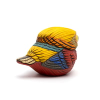 Image 5 of Chubby Bird: Golden Pheasant